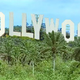 Illustration for article titled Nollywood Confidential
